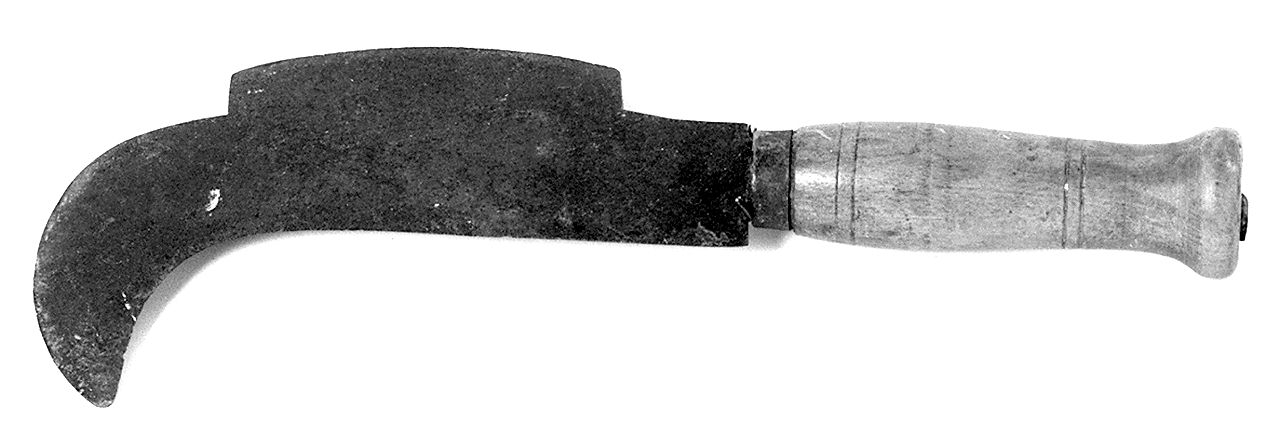 pennato - ambito italiano (1989 ante)