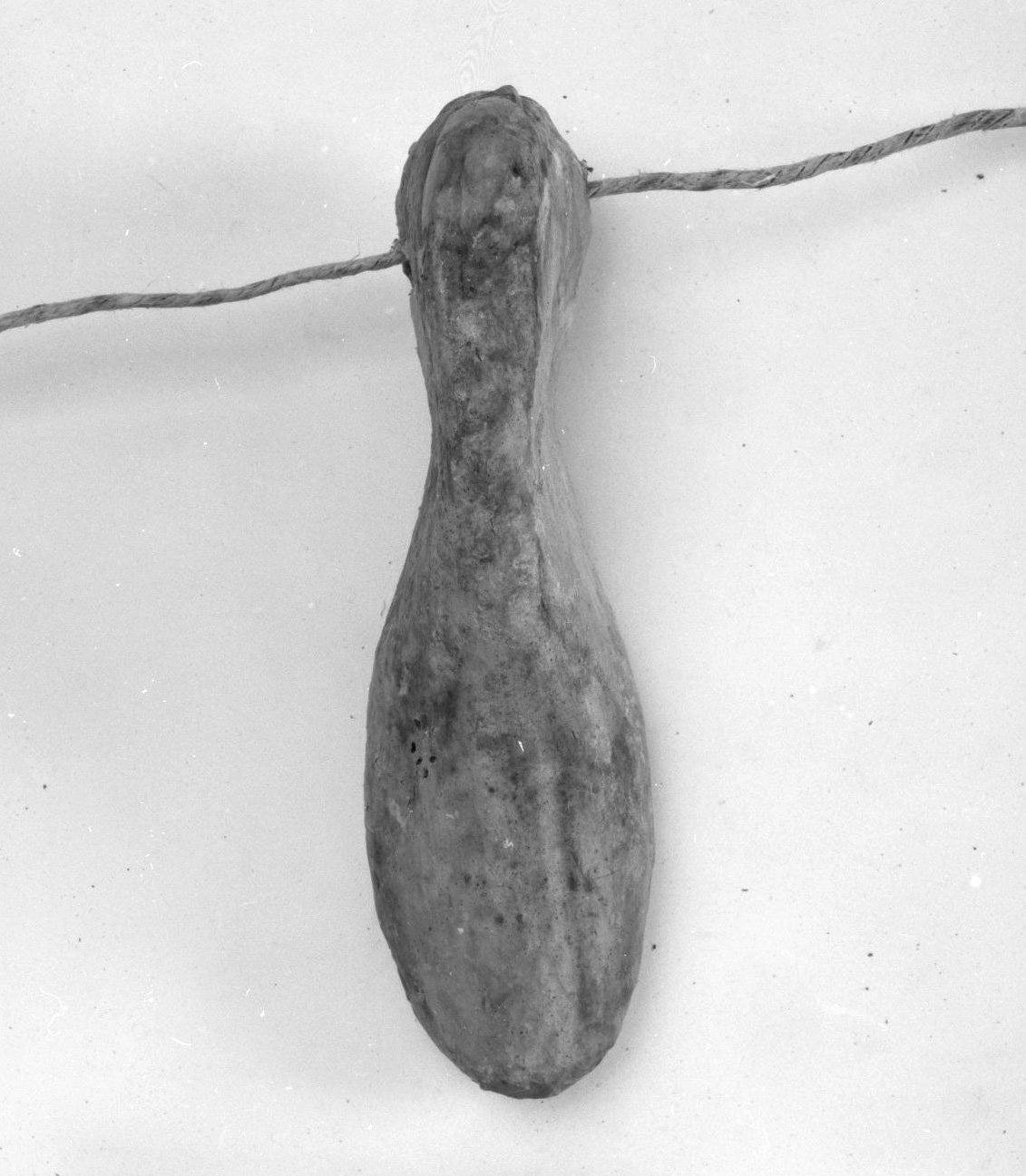 piede (ex voto antropomorfo) - valdelsano (secc. XVI/ XIX)