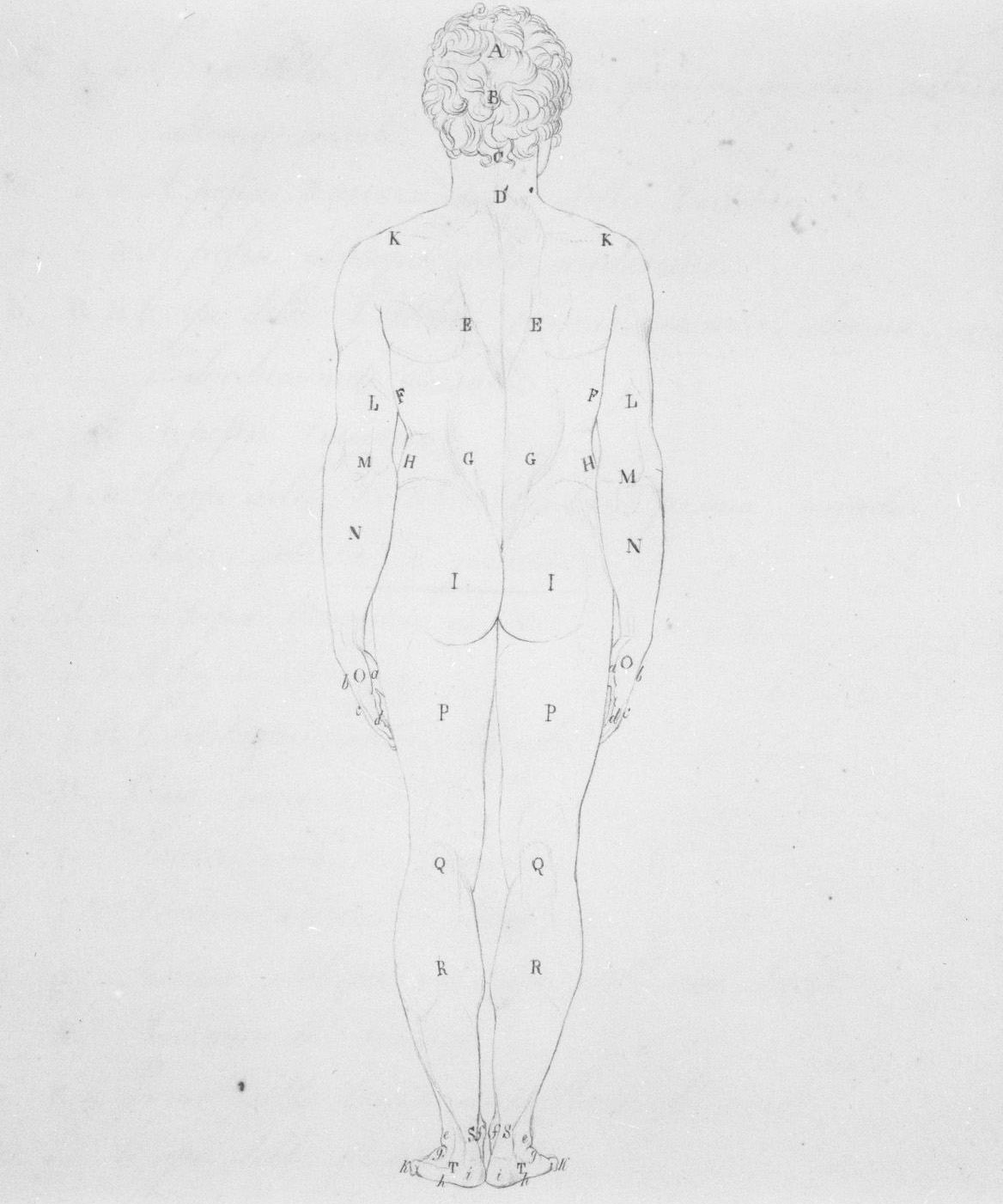 figura maschile (disegno, elemento d'insieme) di Nenci Francesco (attribuito) (sec. XIX)