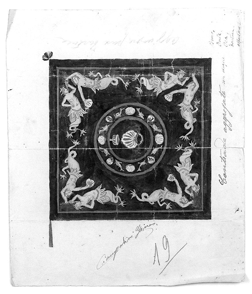 bandiera della contrada del Nicchio (disegno) di Ciampolini Gino (prima metà sec. XX)