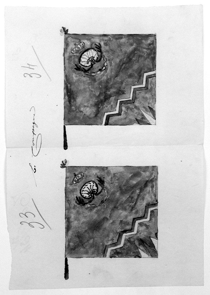 bandiera della contrada del Nicchio (disegno) - ambito senese (terzo quarto sec. XX)