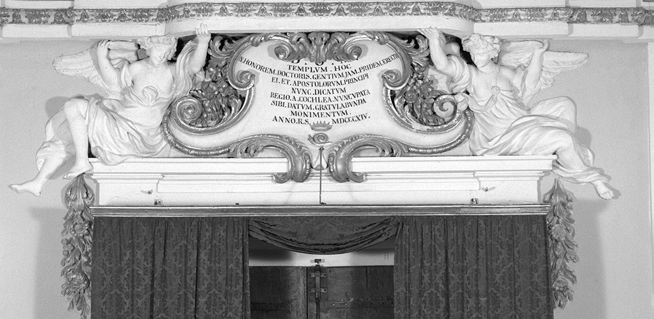 bandiera della contrada del Nicchio (disegno) - ambito senese (secondo quarto sec. XX)