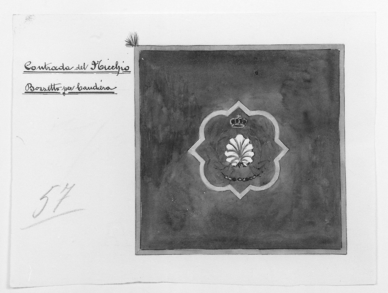 bandiera della contrada del Nicchio (disegno) di Liberati Carlo (sec. XX)