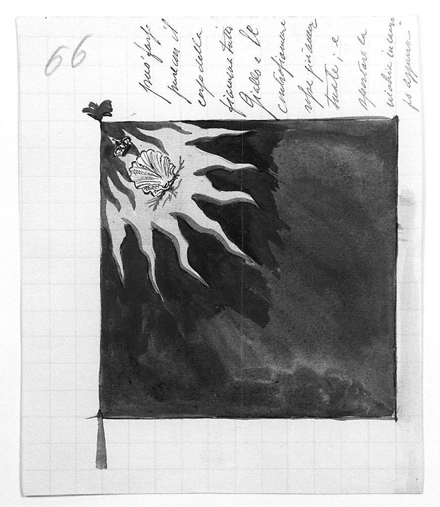 bandiera della contrada del Nicchio (disegno) - ambito senese (secondo quarto sec. XX)