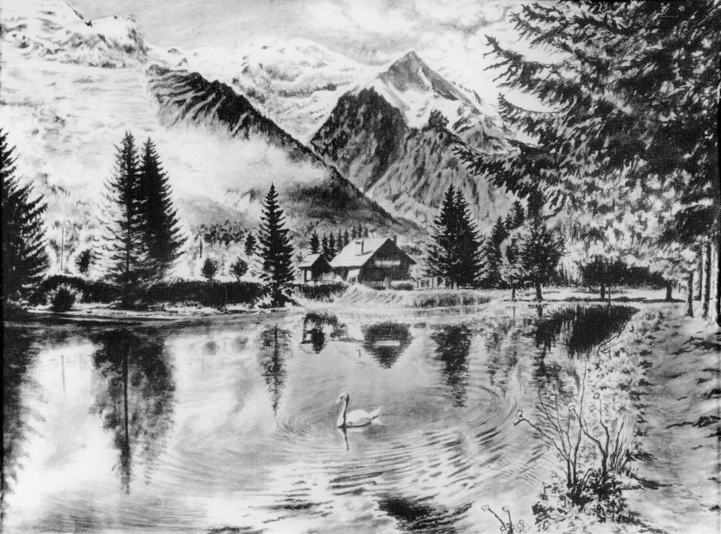 Laghetto alpino, paesaggio lacustre (disegno) di D'amico C. A (seconda metà sec. XX)