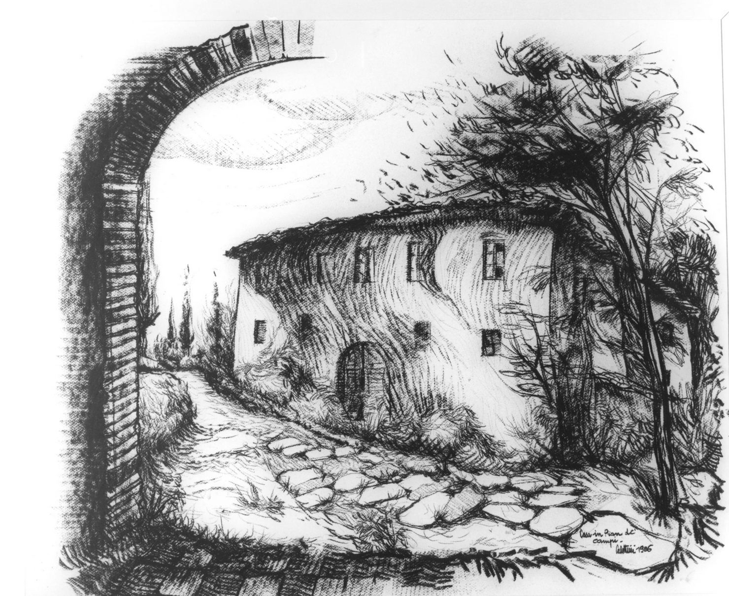 Casa in Pian de' Campi, casolare con albero (disegno, opera isolata) di Cubattini (sec. XX)