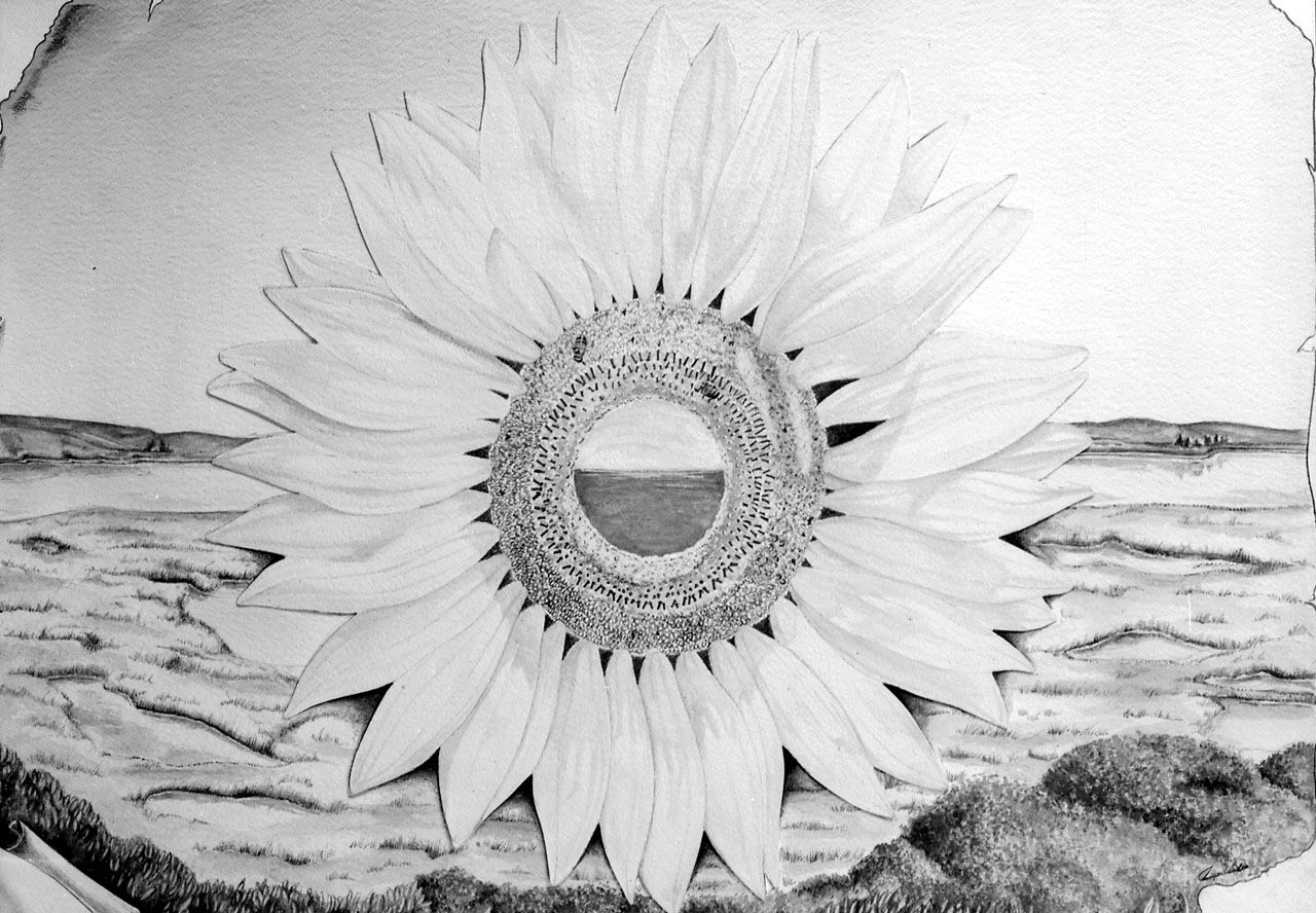 paesaggio con girasole (disegno, opera isolata) di Lupi Claudia (sec. XX)