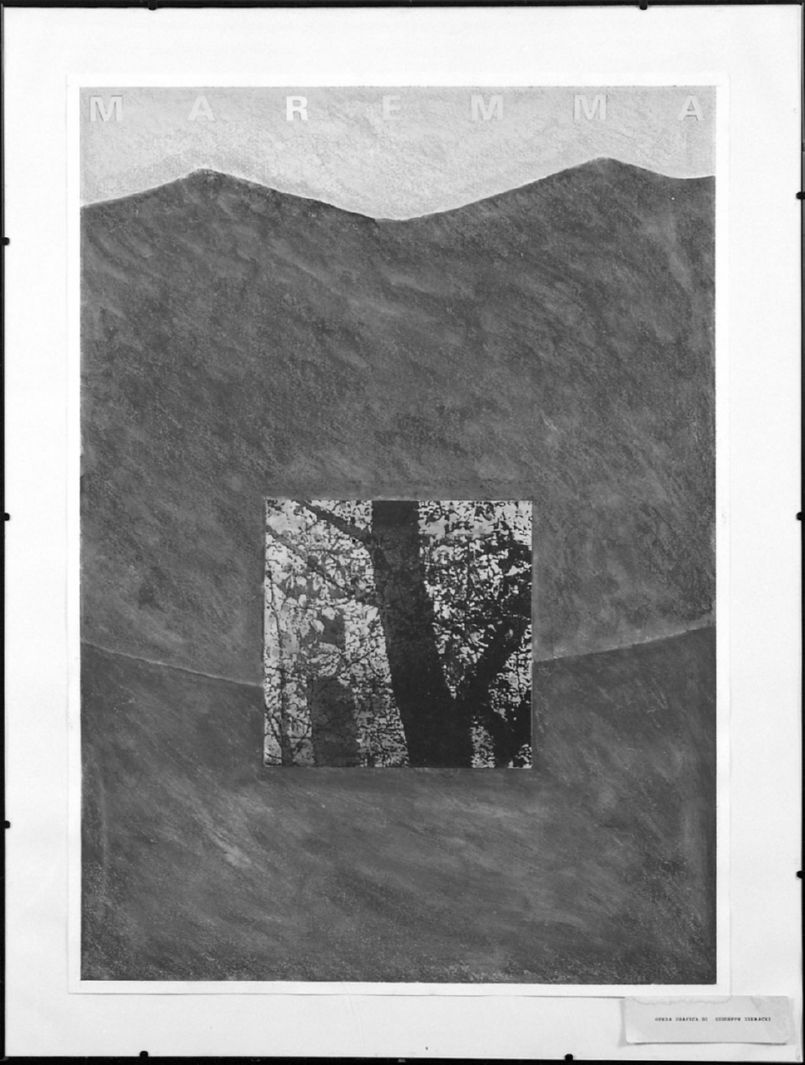 paesaggio montano con alberi (disegno, opera isolata) di Ziemacki Giuseppe (sec. XX)