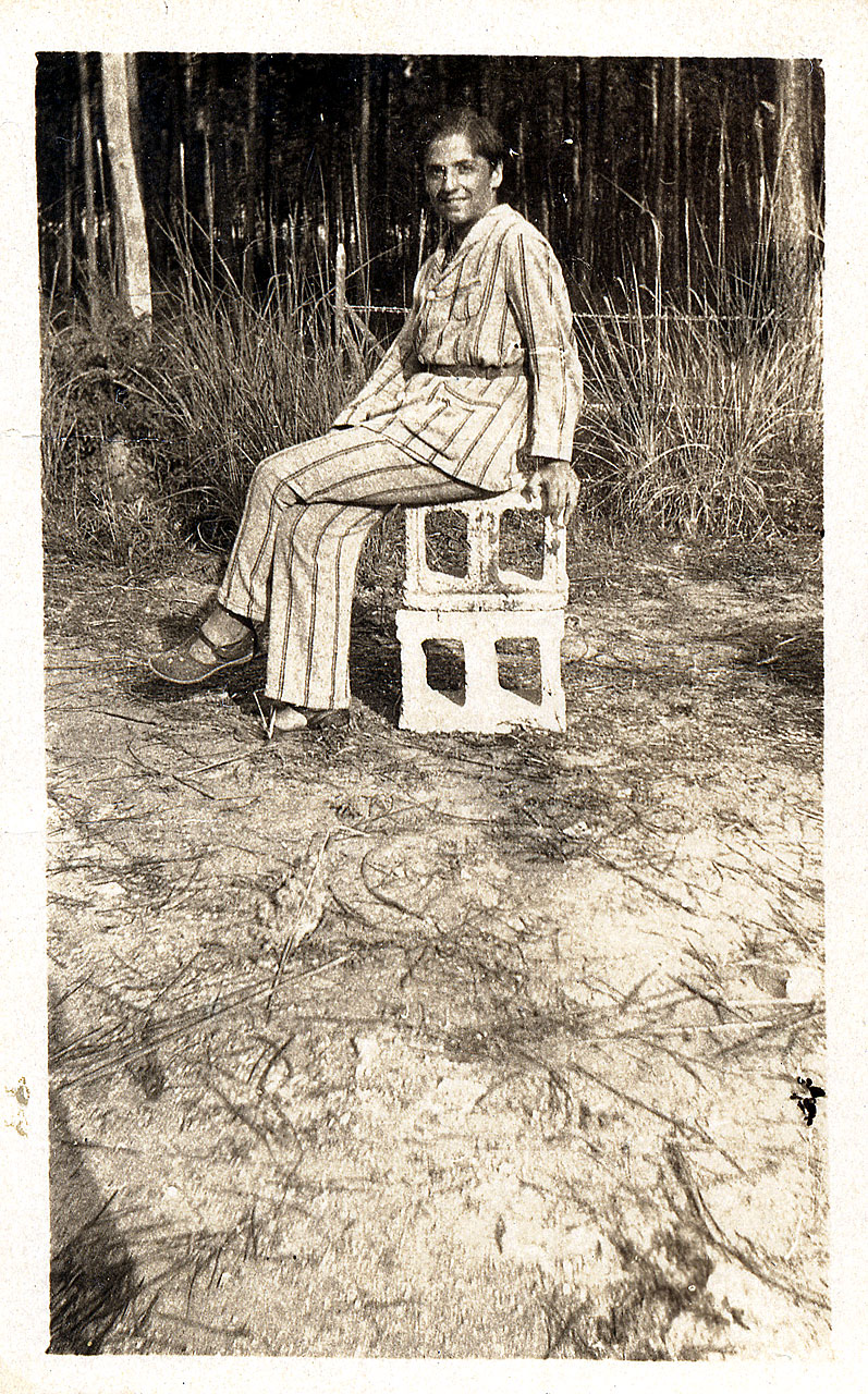 Brandi, Cesare - pineta (positivo) di Anonimo (attr) (XX)