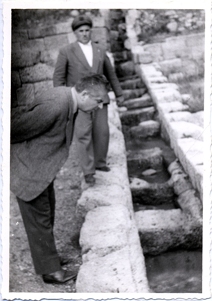 Brandi, Cesare - custode - Sito archeologico (positivo) di Anonimo (attr) (XX)