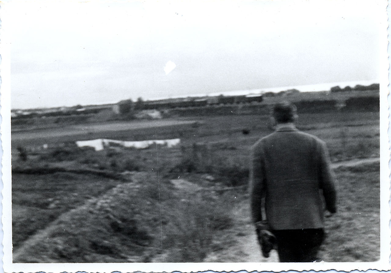 Brandi, Cesare - Veduta (positivo) di Anonimo (attr) (XX)