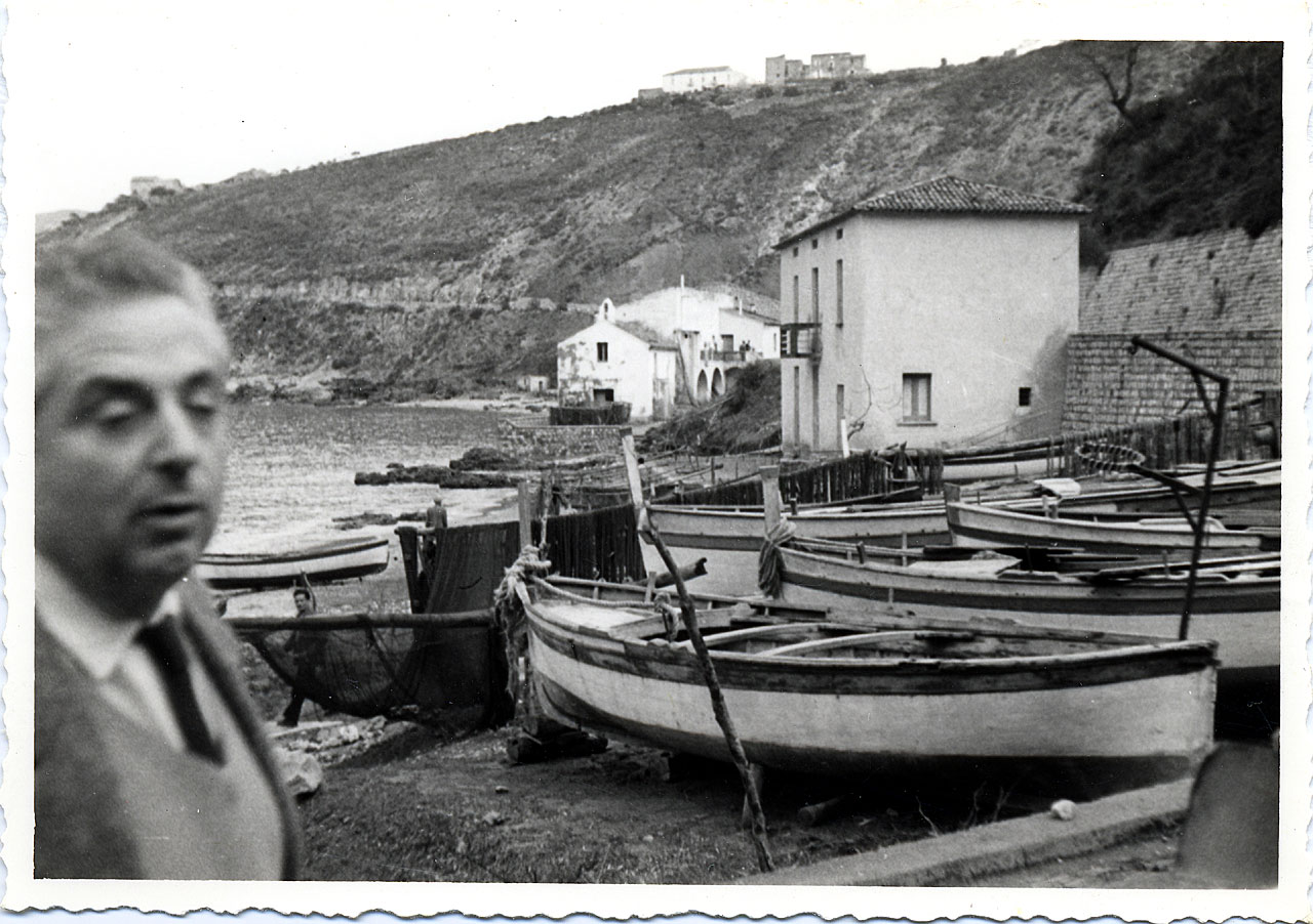 Brandi, Cesare - (positivo) di Anonimo (attr) (XX)