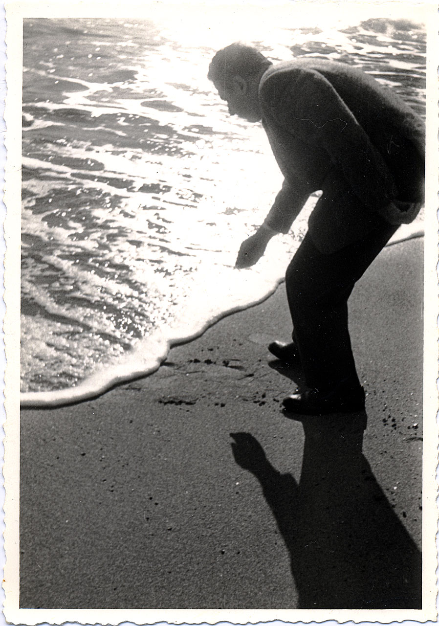 Brandi, Cesare (positivo) di Anonimo (attr) (XX)