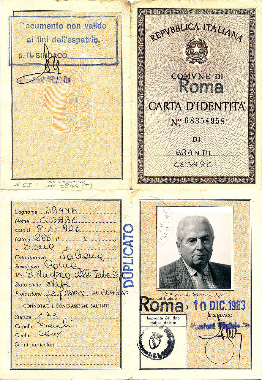 Brandi, Cesare (positivo) di Anonimo (attr) (XX)