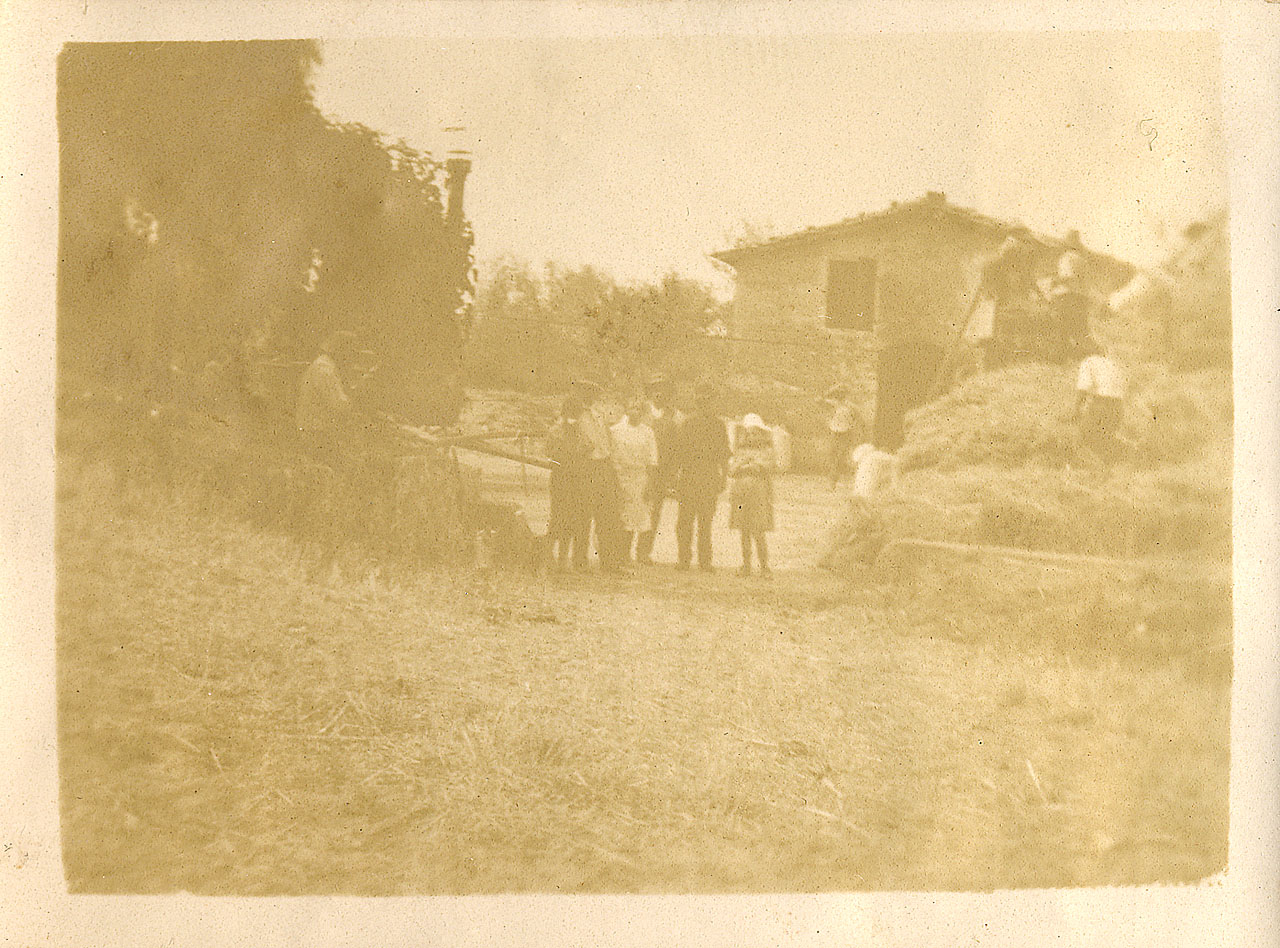 Gruppo in posa durante la trebbiatura (positivo) di [Brandi, Archibaldo (Baldo)] (attr) (XX)