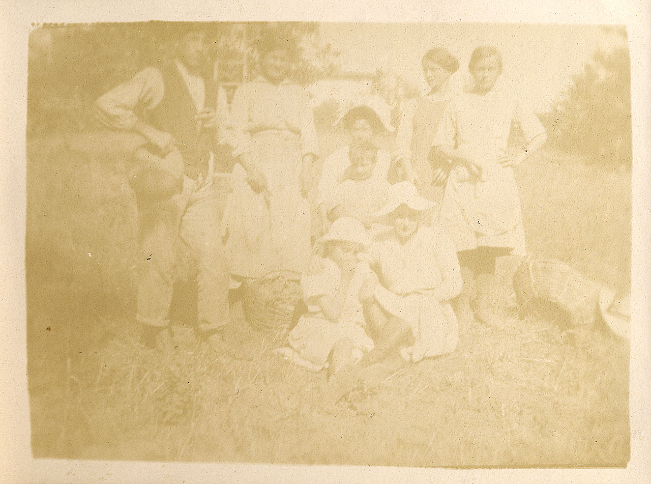 Campagna - vendemmia - gruppo di vendemmiatori (positivo) di [Brandi, Archibaldo (Baldo)] (attr) (XX)