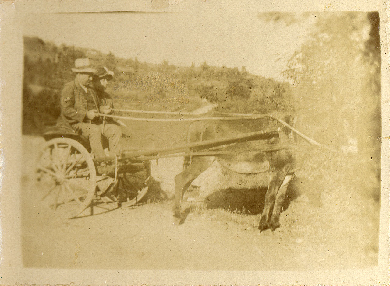 La zia Brandi - uomo - calesse - campagna (positivo) di [Brandi, Archibaldo (Baldo)] (attr) (XX)