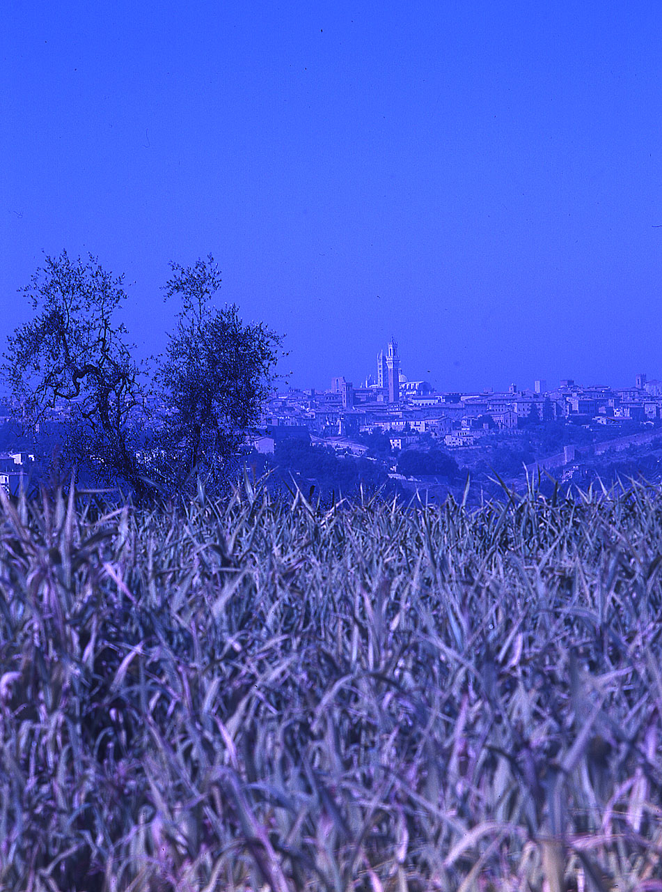 Siena - Veduta (diapositiva) di Anonimo (attr) (XX)