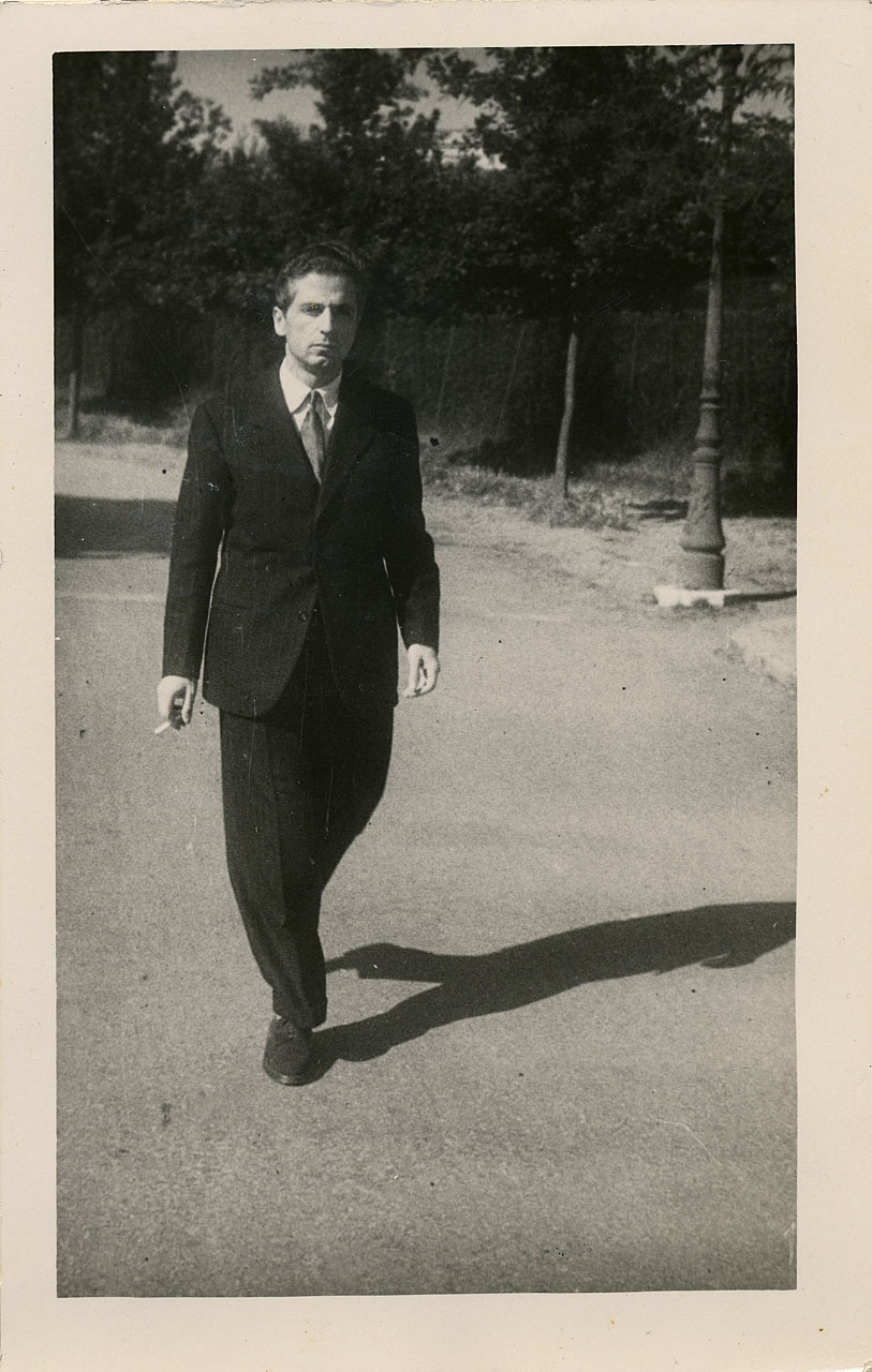 Brandi, Cesare (positivo) di Anonimo (attr) (XX)