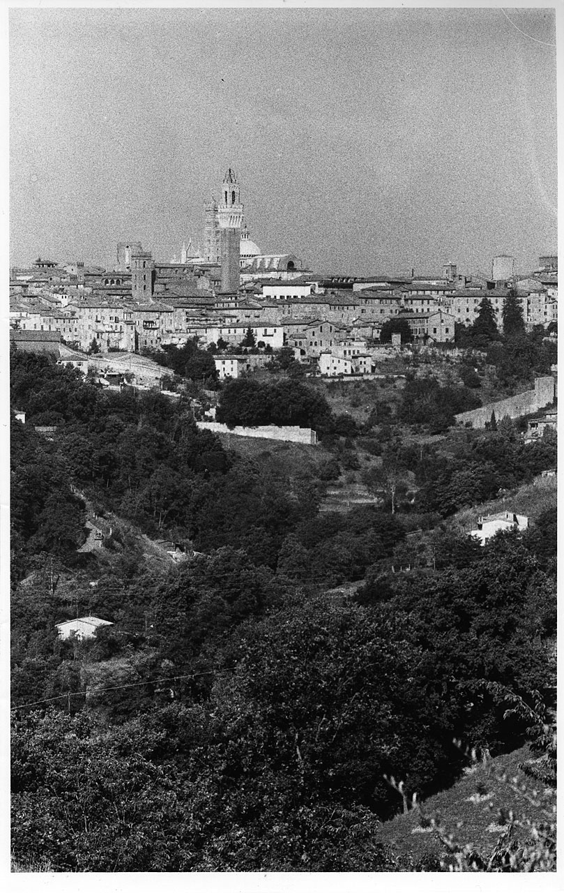 Siena - veduta (positivo) di Anonimo (attr) (XX)