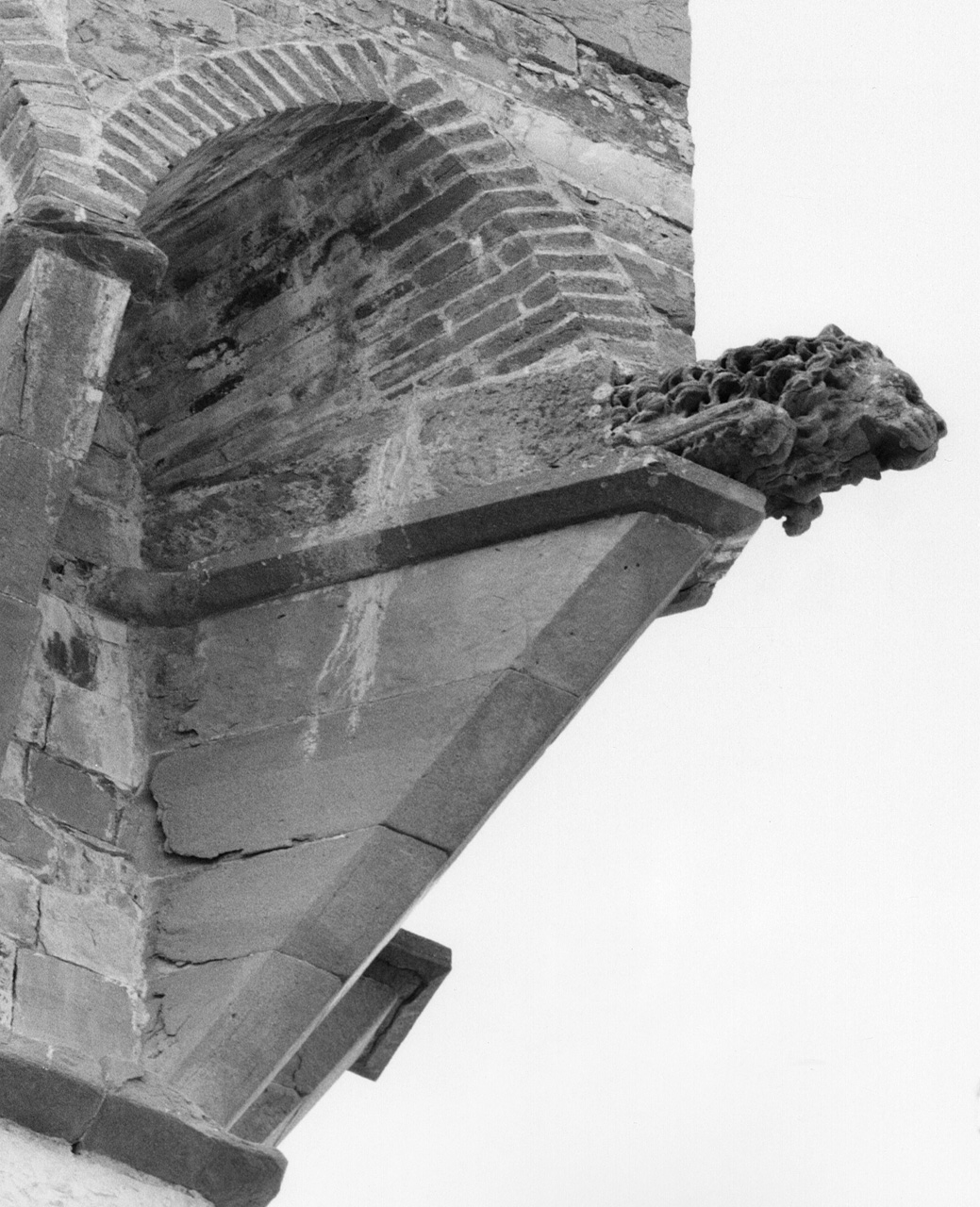 testa di leone (gocciolatoio, serie) - bottega toscana (ultimo quarto sec. XIX)