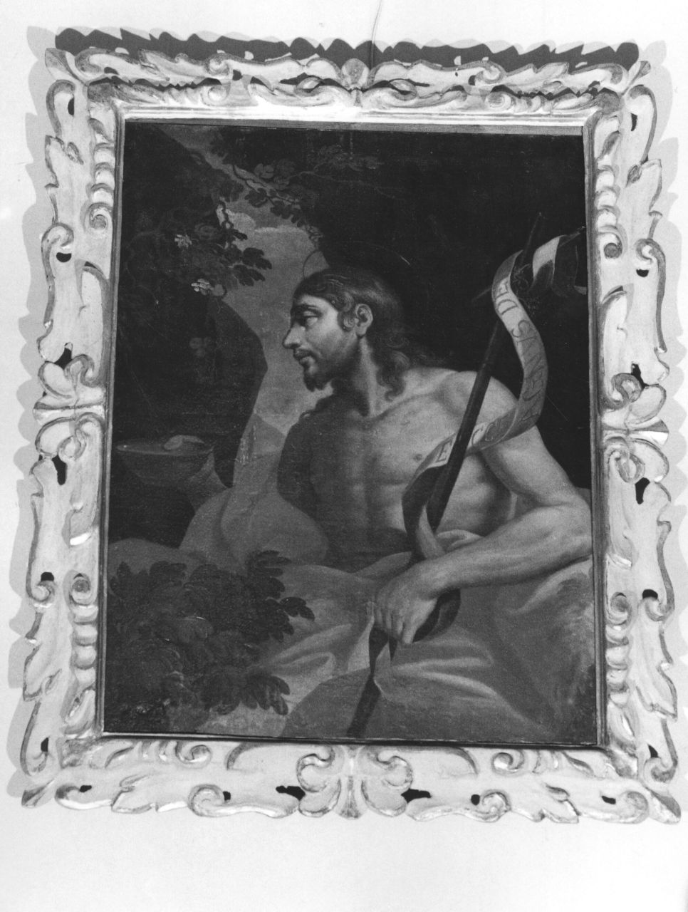 San Giovanni Battista (dipinto) - ambito fiorentino (sec. XVIII)
