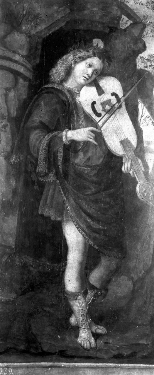 Apollo e le muse (dipinto, insieme) - ambito Italia centrale (sec. XV)