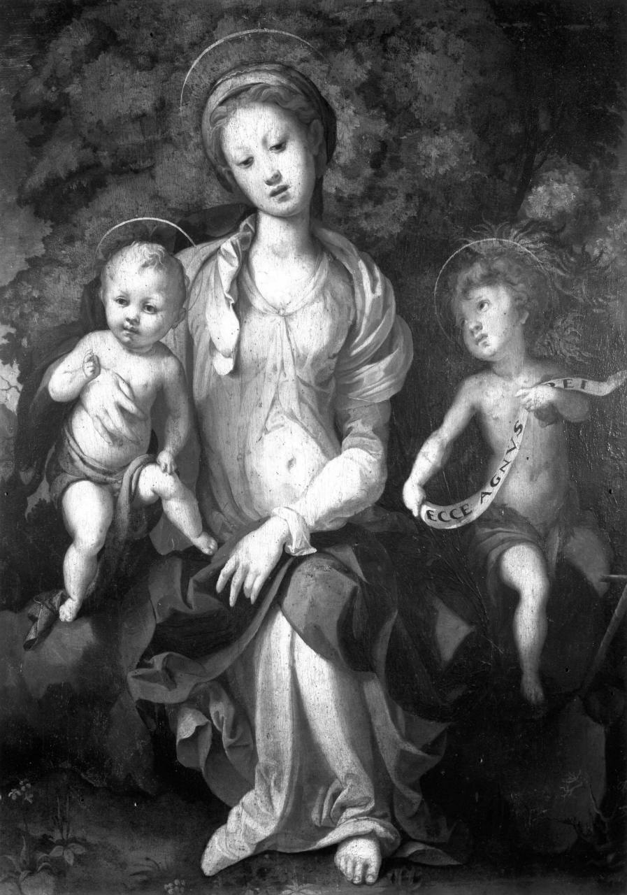 Madonna con Bambino e San Giovannino (dipinto) di Carucci Jacopo detto Pontormo (sec. XVI)