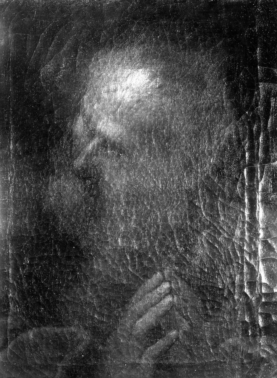 testa d'uomo (dipinto) di Cardi Ludovico detto Cigoli (attribuito) (fine/inizio secc. XVI/ XVII)
