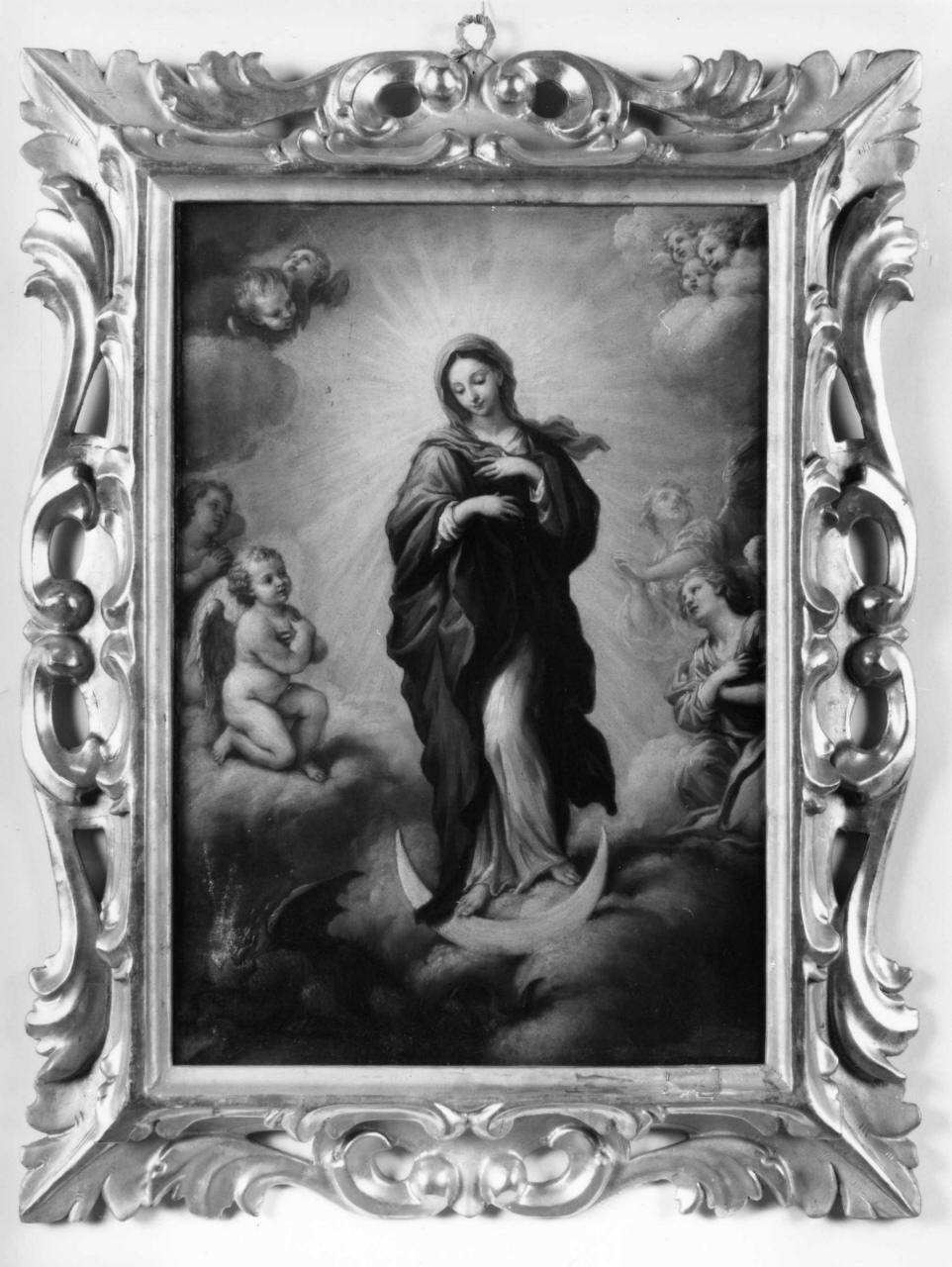 Madonna Immacolata (dipinto) di Gherardini Alessandro (attribuito) (sec. XVIII)