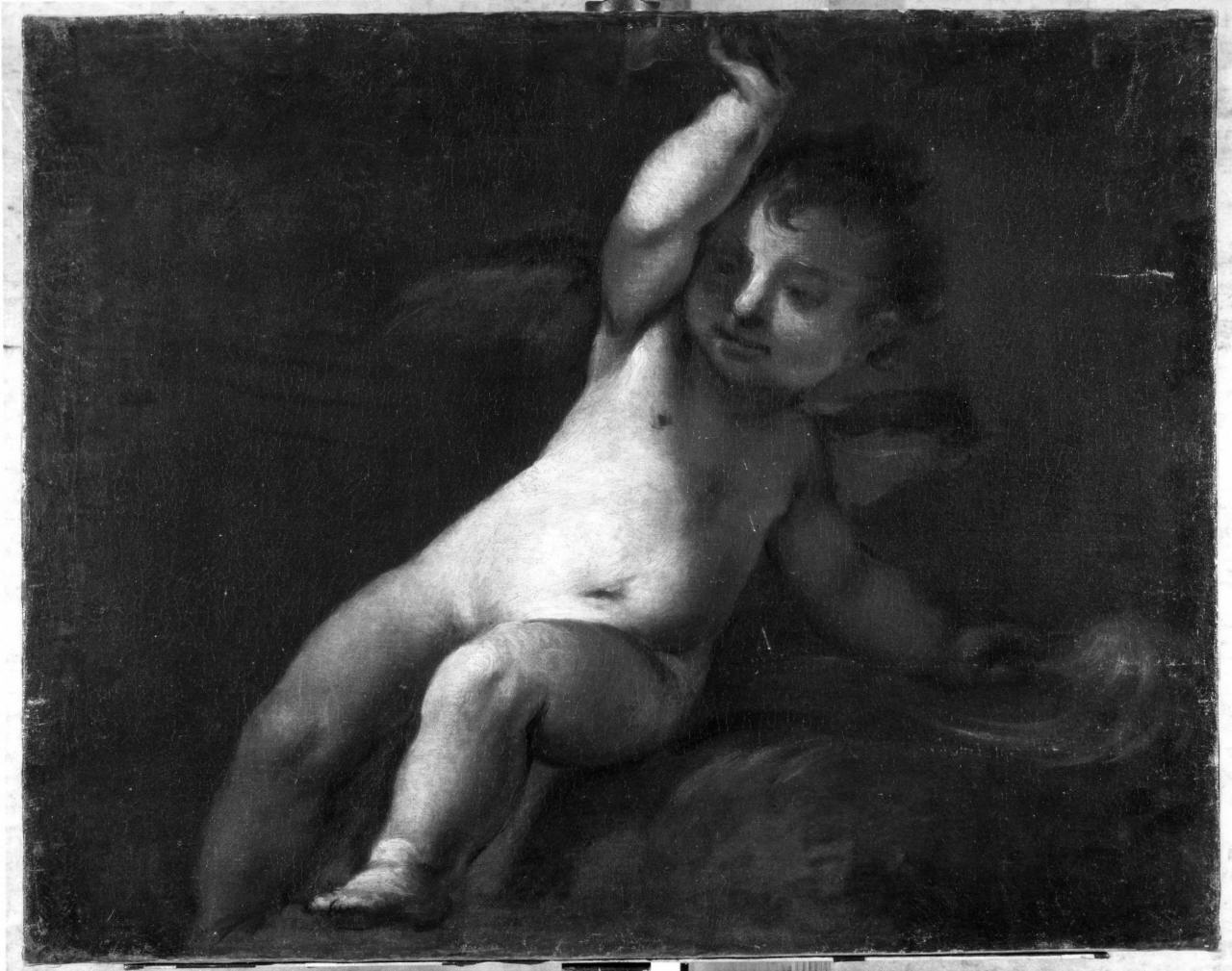 putto alato (dipinto) - ambito fiorentino (sec. XVII)