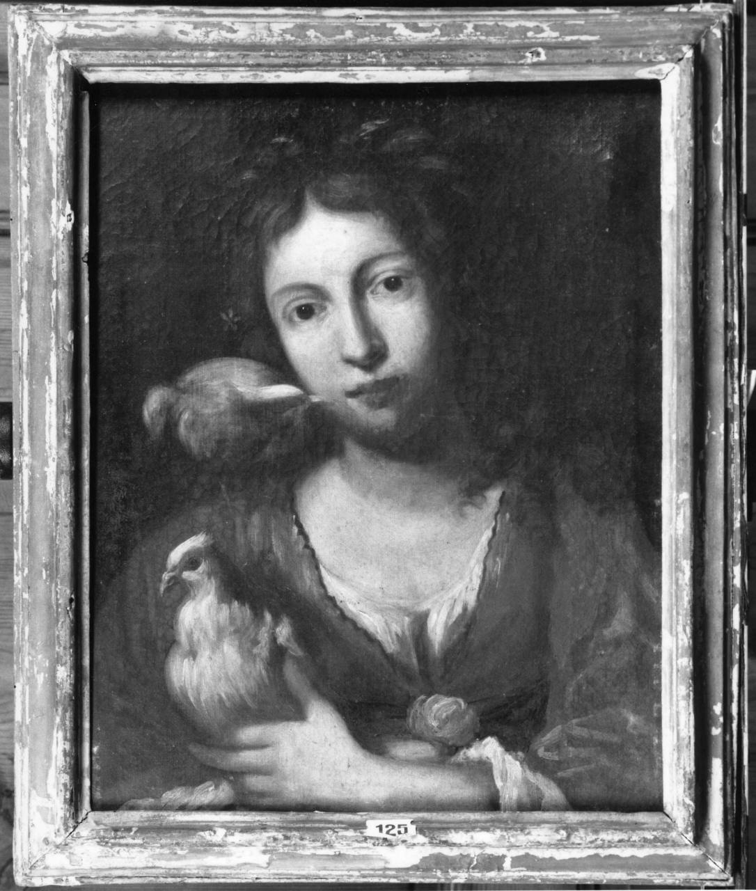 fanciulla con colombe (dipinto) - ambito italiano (sec. XVIII)