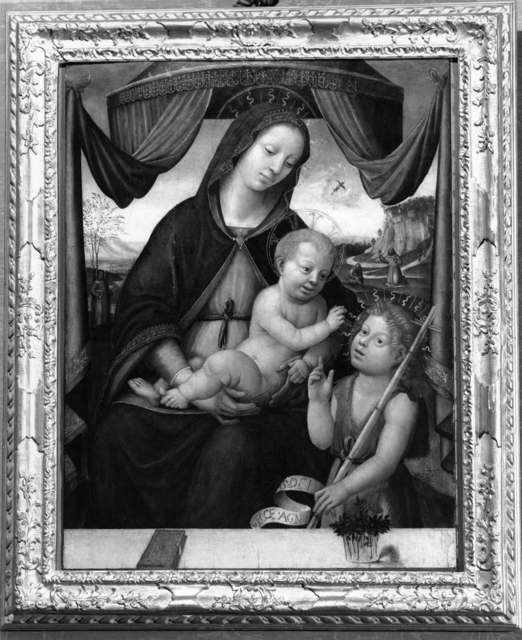Madonna con Bambino e San Giovannino (dipinto) - ambito toscano (fine/inizio secc. XV/ XVI)