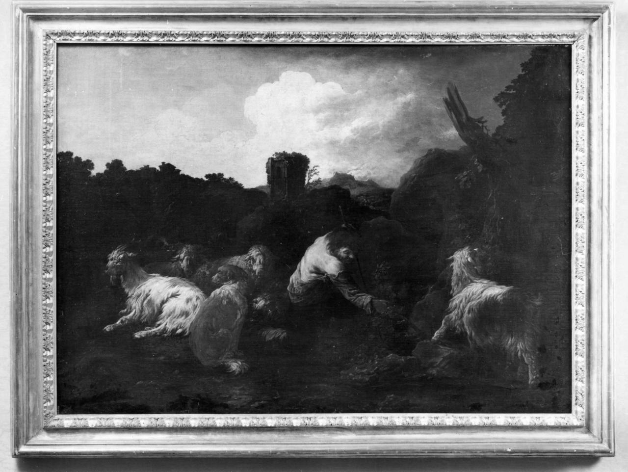 paesaggio con pastore, capre e rovine (dipinto) di Roos Philipp Peter detto Rosa da Tivoli (attribuito) (secc. XVII/ XVIII)