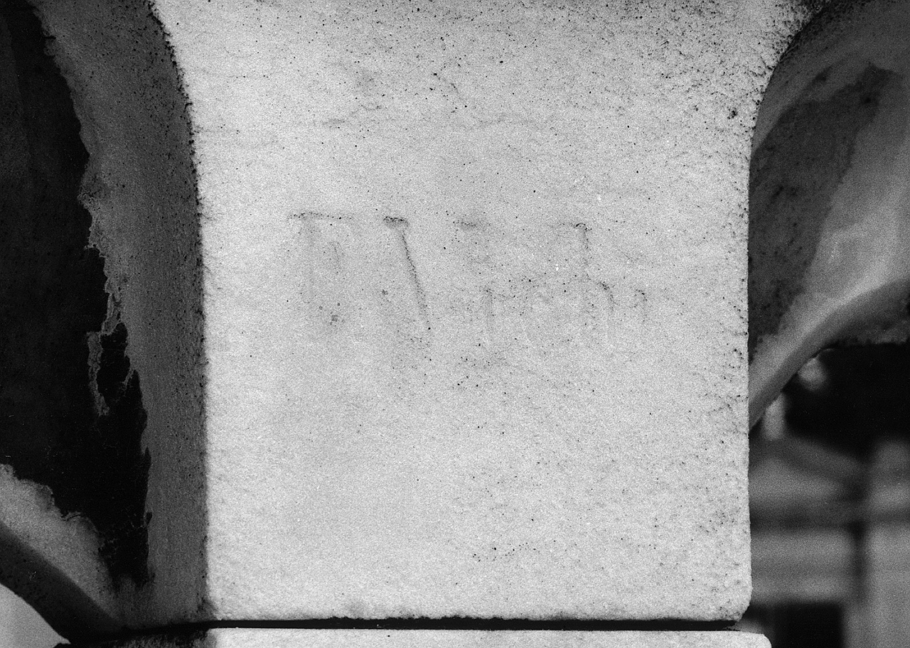 ritratto di donna (busto) di Vichi Ferdinando (secc. XIX/ XX)