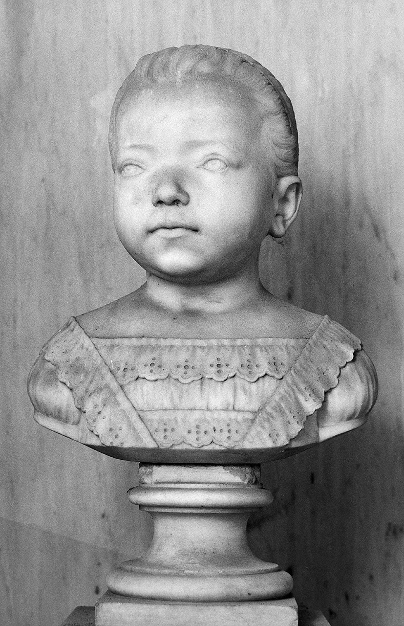 ritratto di donna (busto) di Giolli E (sec. XIX)
