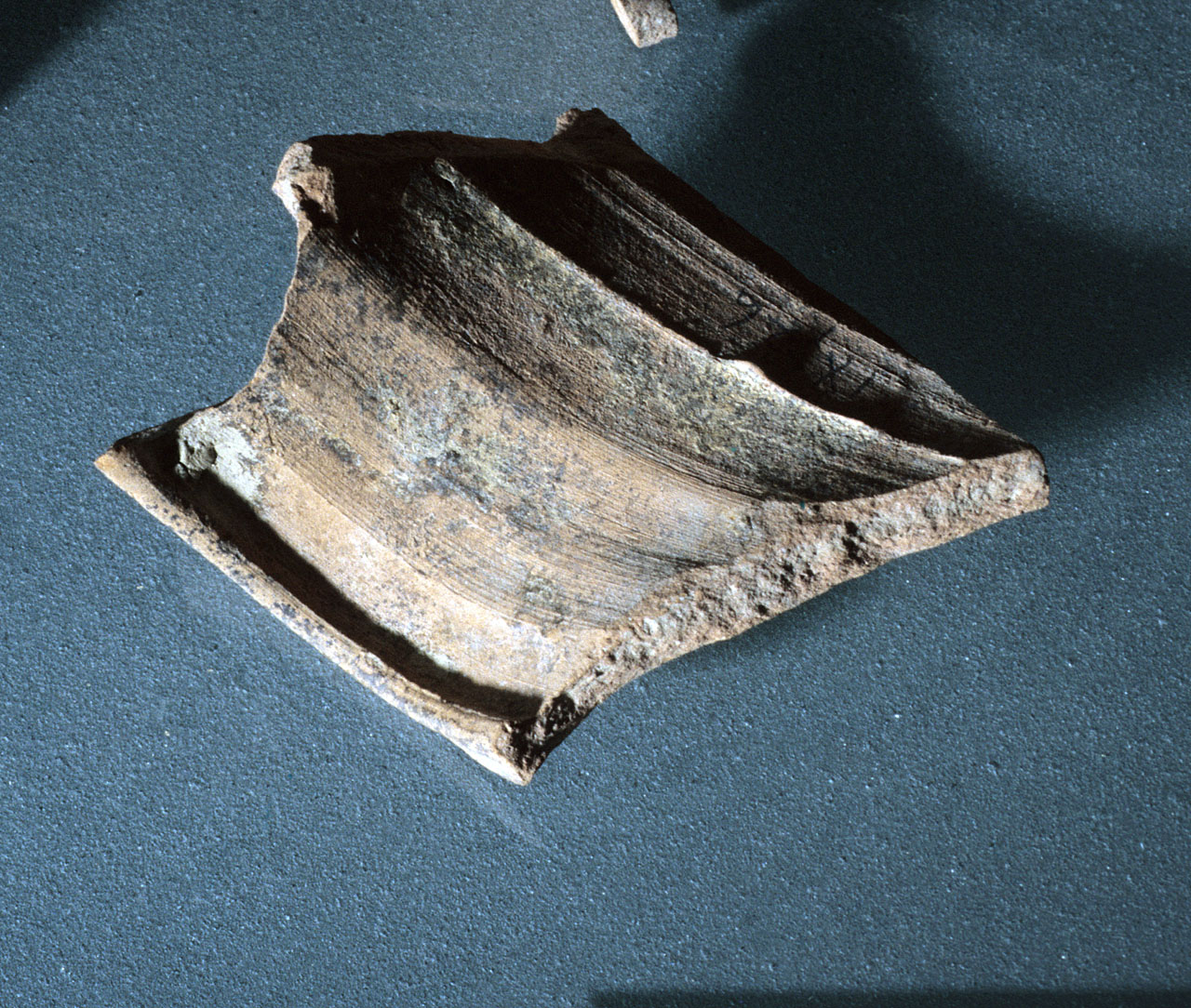 boccale, frammento - bottega toscana (sec. XIV)