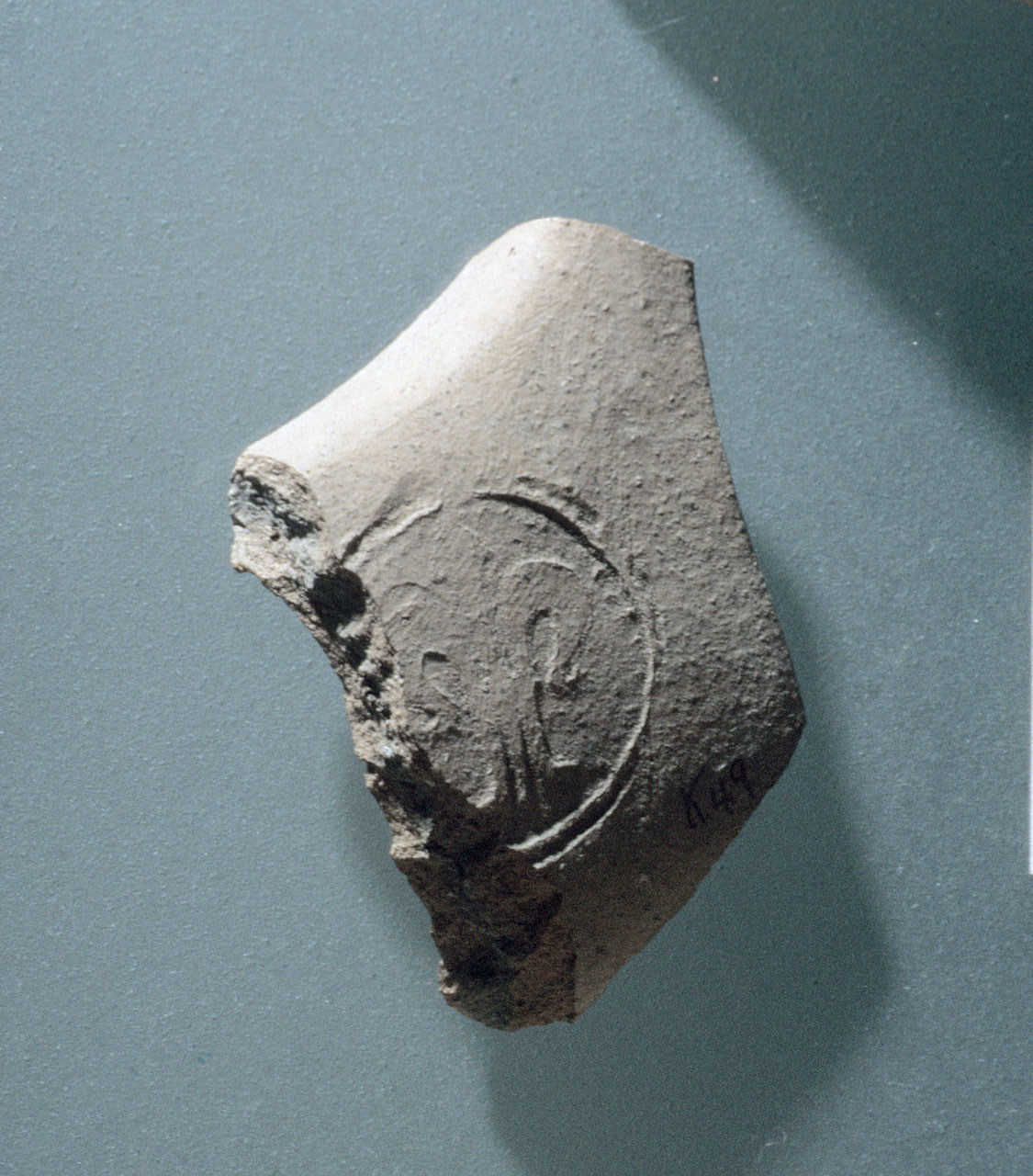 bacino, frammento - bottega toscana (sec. XIV)