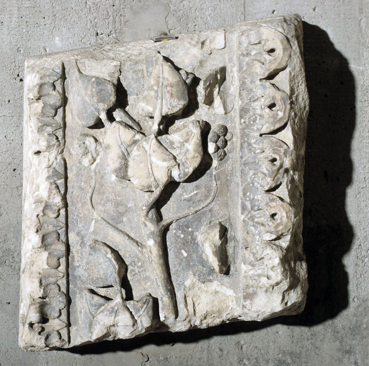 decorazione plastica, frammento di Arnolfo di Cambio (bottega) (secc. XIII/ XIV)