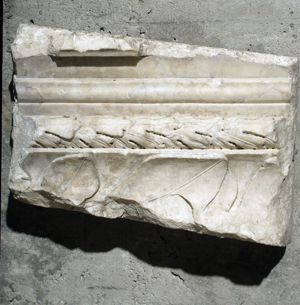 decorazione plastica, frammento di Arnolfo di Cambio (bottega) (secc. XIII/ XIV)