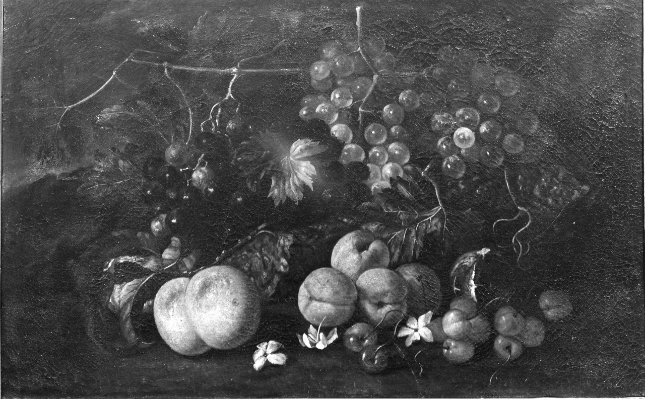 natura morta con frutta (dipinto) - ambito fiorentino (sec. XVII)
