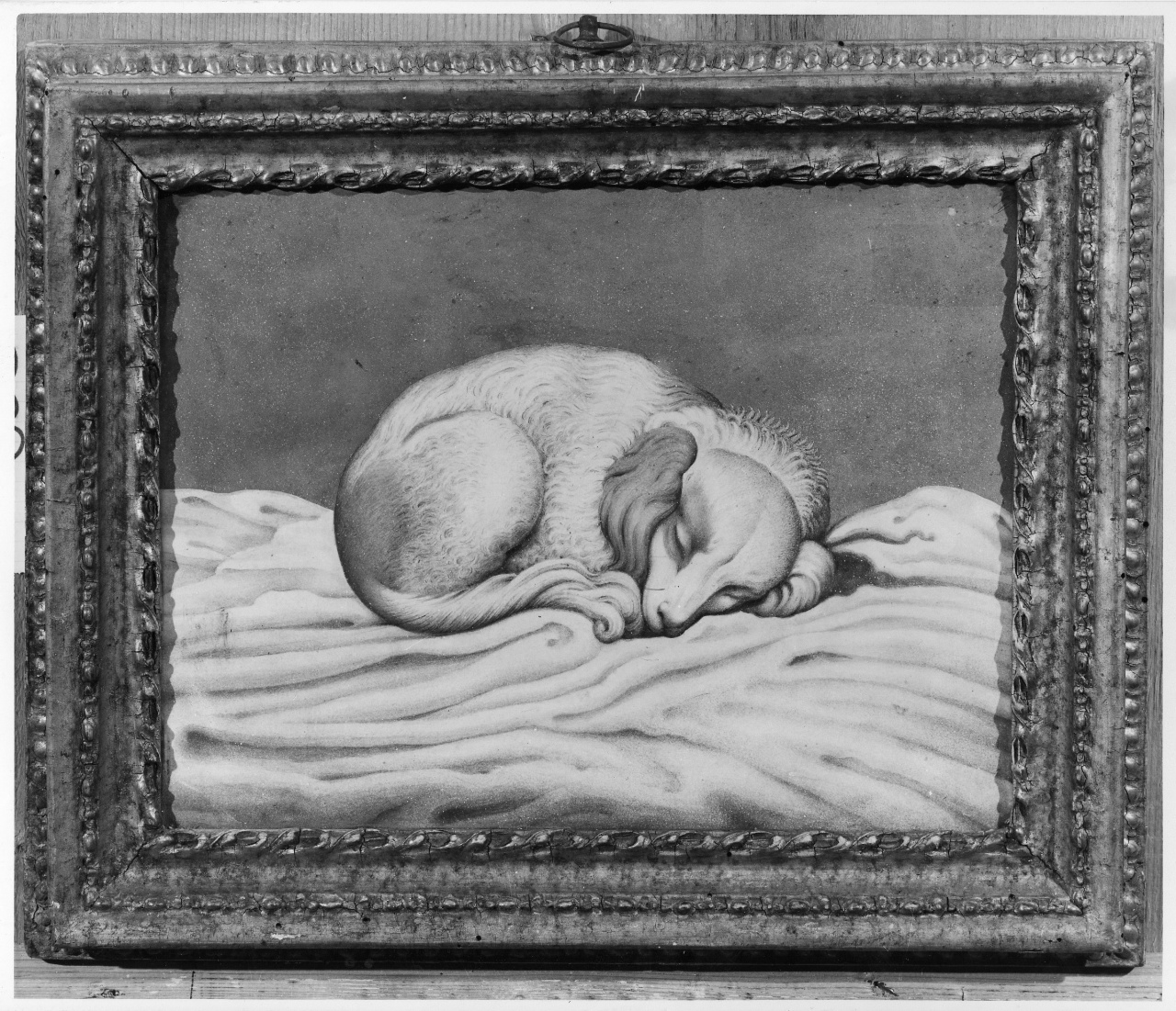 cane dormiente (dipinto) di Gori Lamberto Cristiano (seconda metà sec. XVIII)