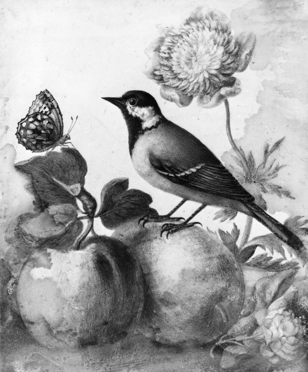Frutta, fiori, farfalla e uccello (dipinto) - ambito italiano (metà sec. XVIII)