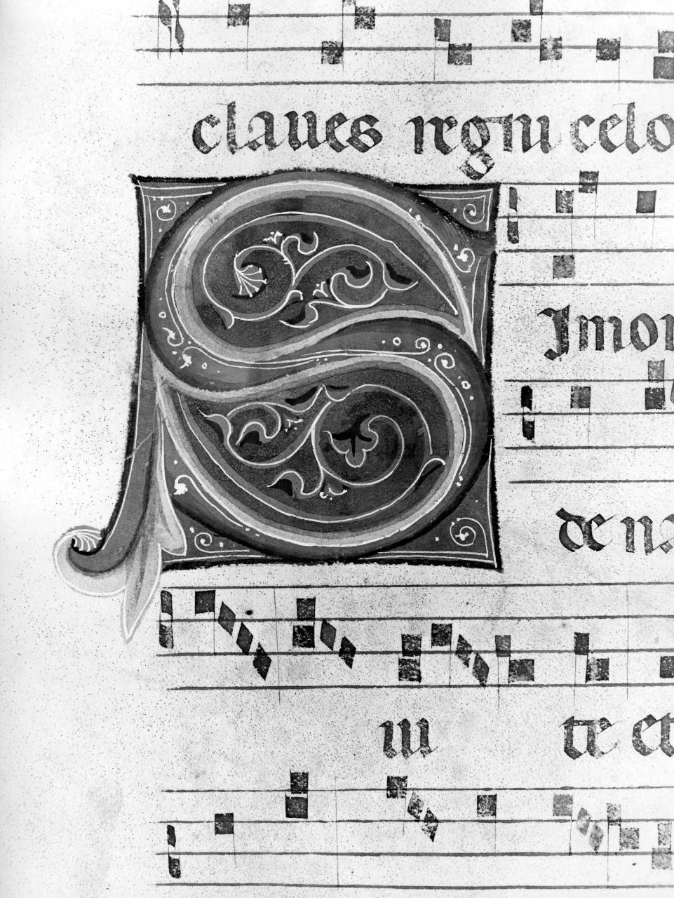 motivi decorativi vegetali (miniatura) - ambito pistoiese (metà, inizio sec. XIV, sec. XV)