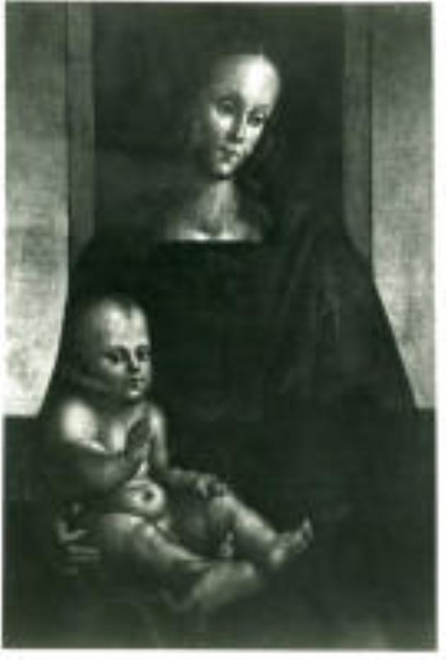 Madonna con Bambino (dipinto) di Vannucci Pietro detto Perugino (attribuito) (secc. XV/ XVI)