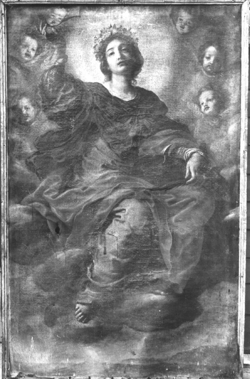 Santa Caterina d'Alessandria con i simboli del martirio (dipinto) di Dandini Cesare (attribuito) (sec. XVII)