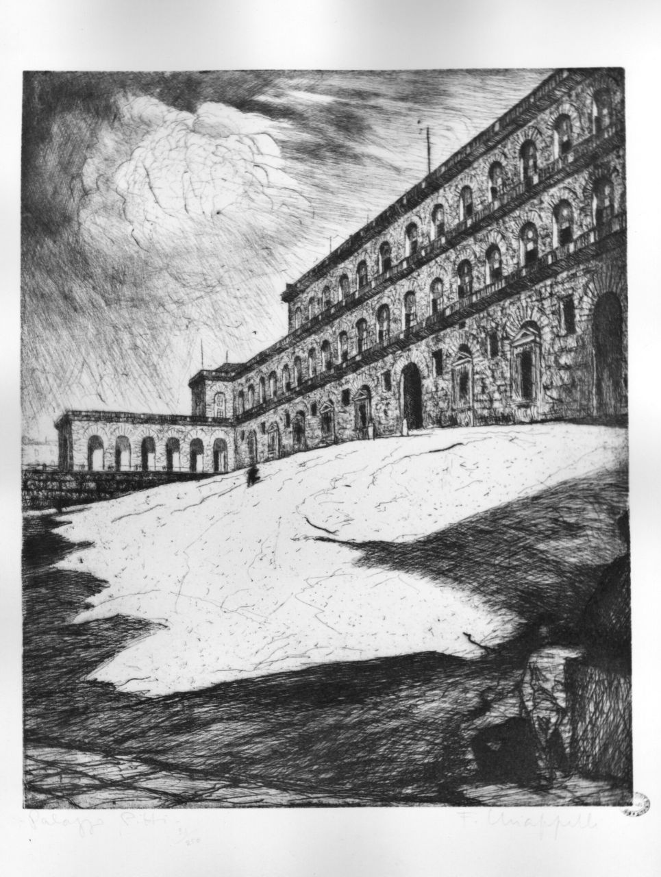 veduta di Firenze (stampa) di Chiappelli Francesco (sec. XX)