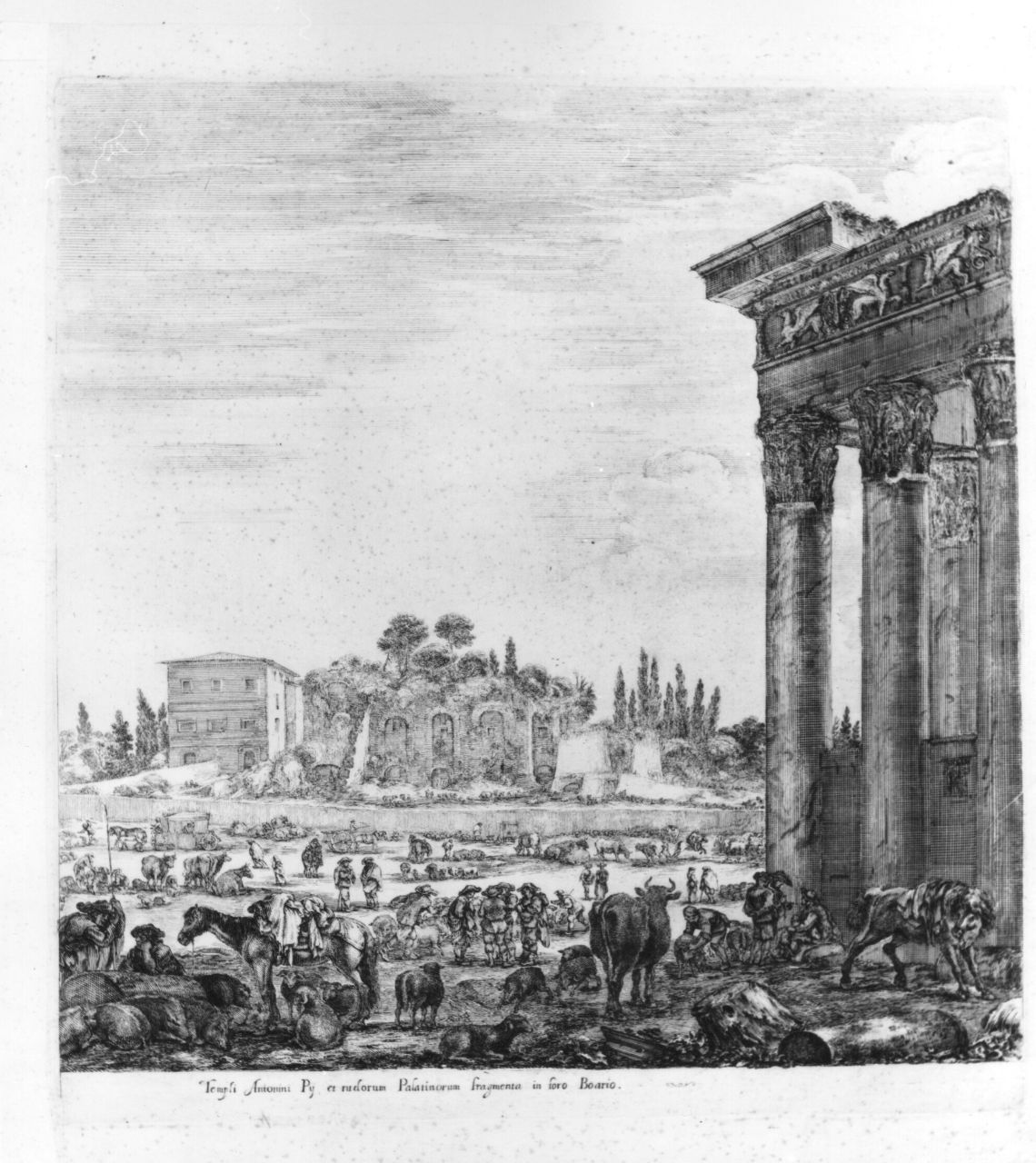 Il Tempio d'Antonino e il Campo Vaccino, veduta del tempio d'Antonino e Foro Boario (stampa) di Della Bella Stefano (sec. XVII)