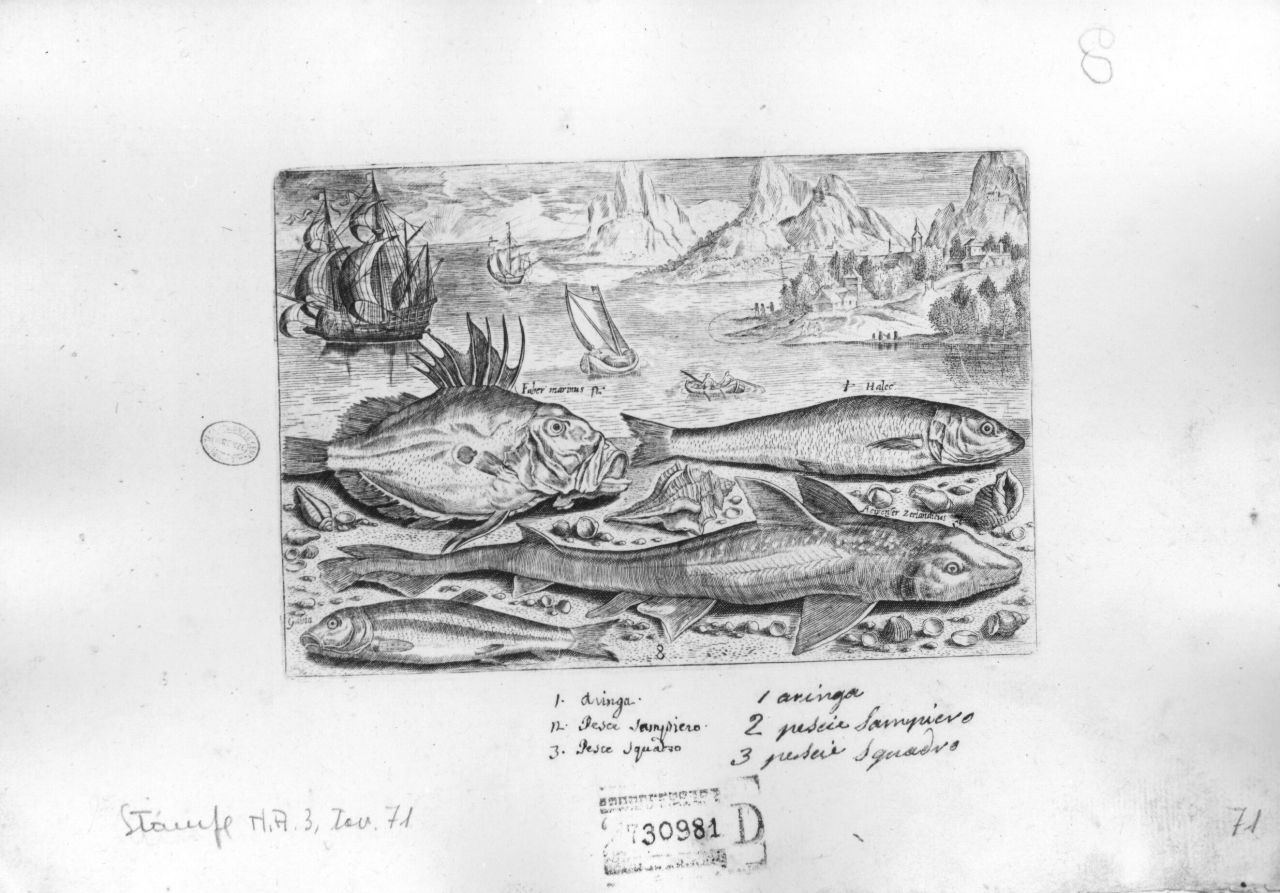 marina con pesci e veliero (stampa) di Collaert Adriaen (fine/inizio secc. XVI/ XVII)