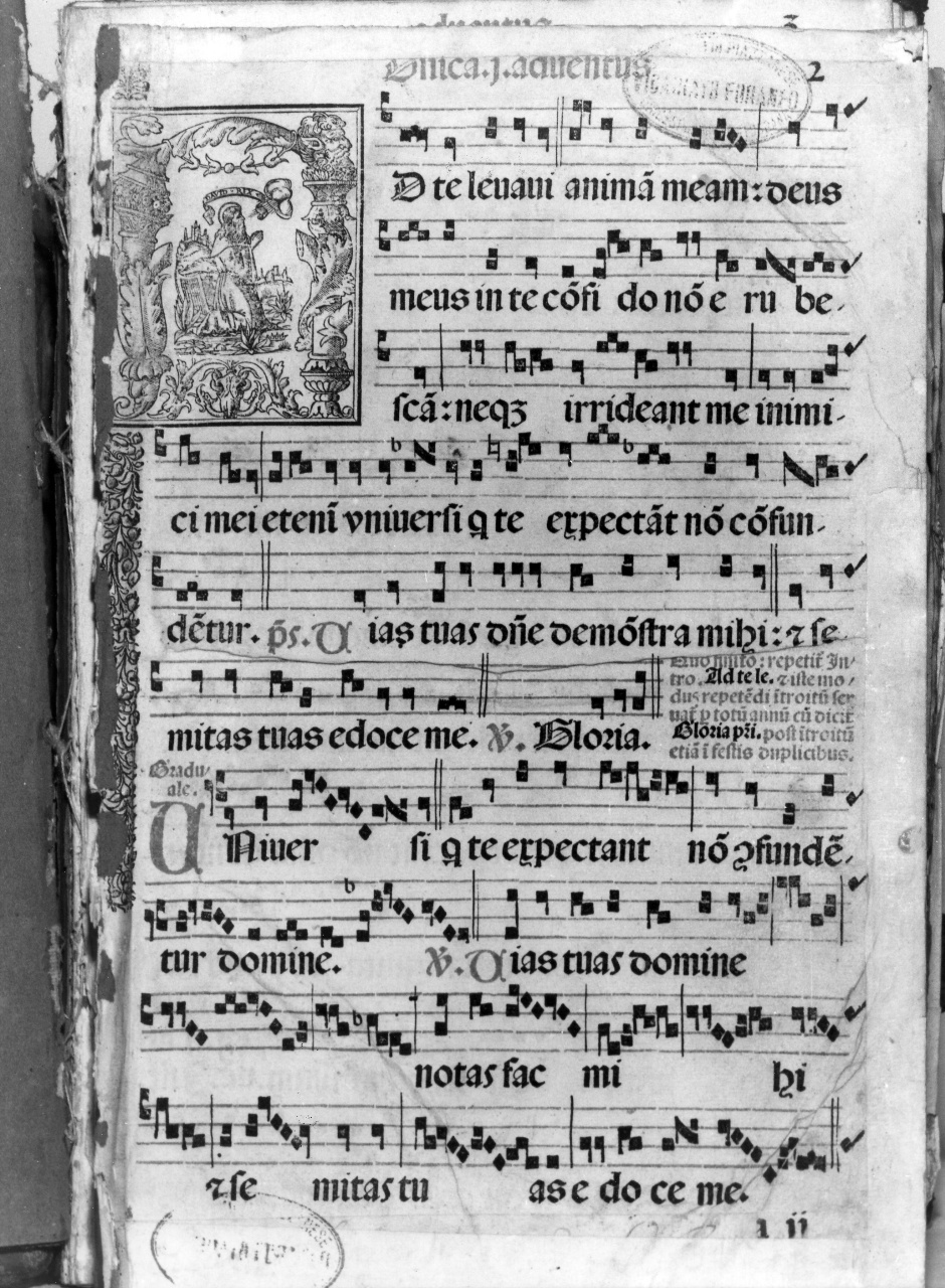 David (stampa) - ambito veneto (secondo quarto sec. XVI)